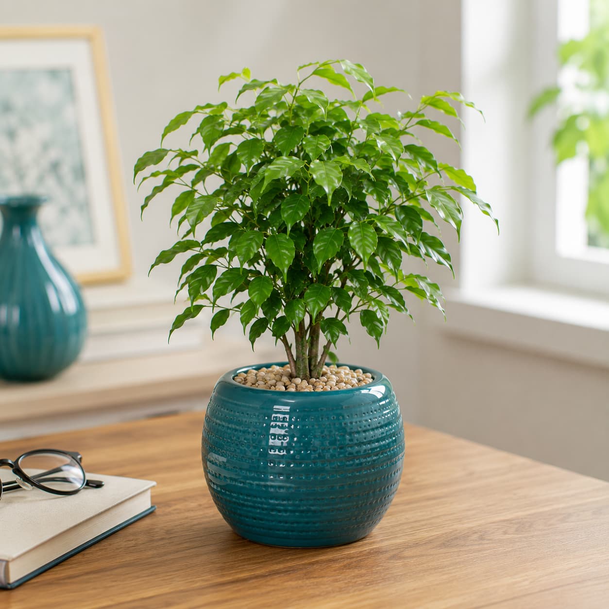 Cây Hạnh Phúc Mini